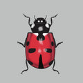 Hand-Drawn Ladybug Illustration – Digital Download or Fine Art Print (Up to A3)